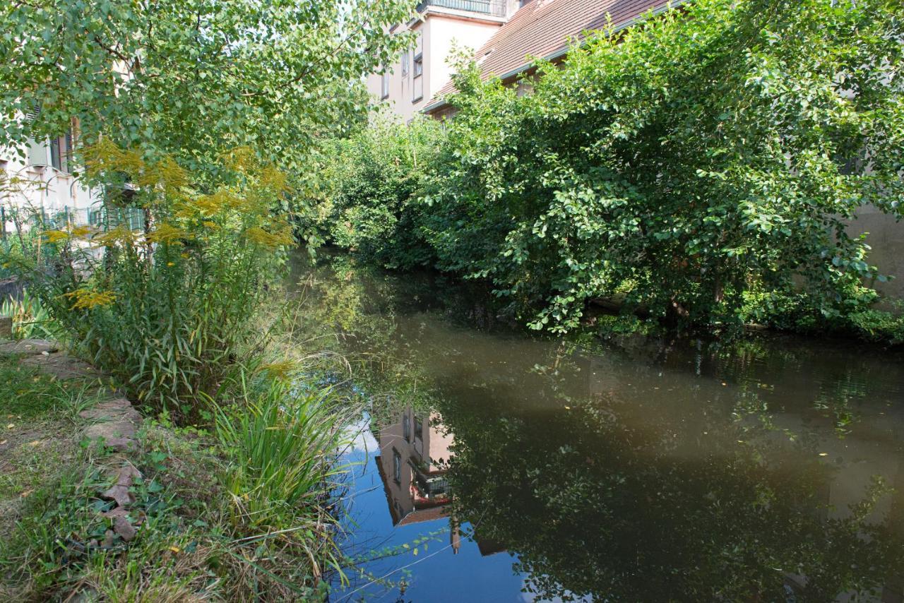 Meuble Le Coin Tranquille Leilighet Saverne Eksteriør bilde